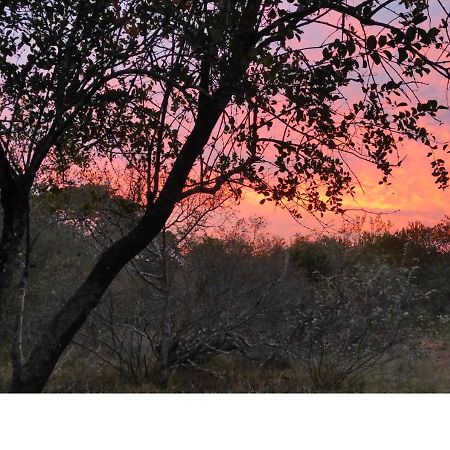 Vila Lion King Marloth Park Exteriér fotografie