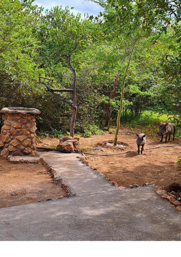 Vila Lion King Marloth Park Exteriér fotografie
