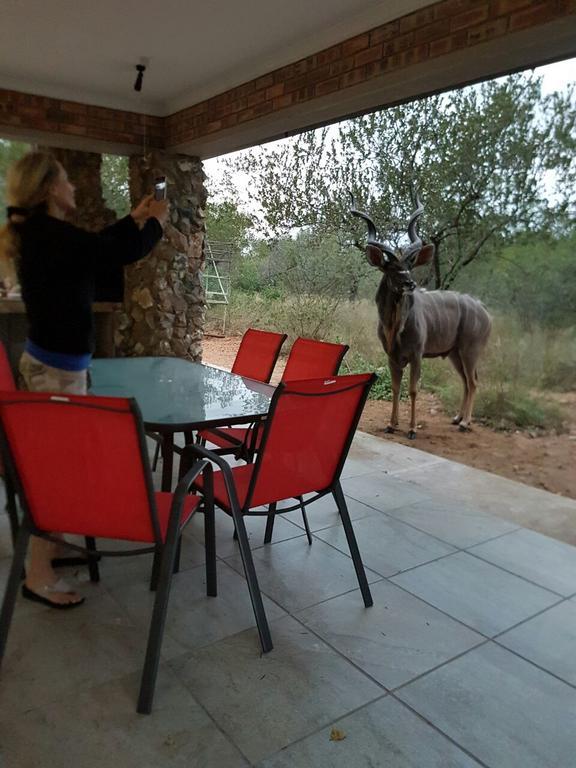 Vila Lion King Marloth Park Exteriér fotografie